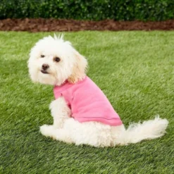 Frisco Dog & Cat Basic Hoodie + T-Shirt, Pink -FRISCO Sales 302712 PT7. SY630 V1633059072