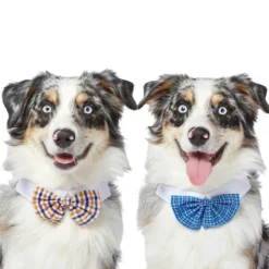 Frisco Plaid Dog & Cat Bow Tie, Orange & Blue + Blue