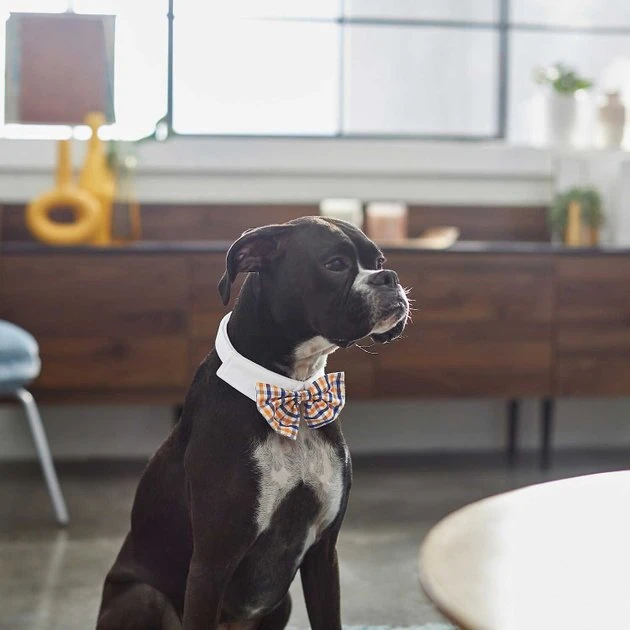 Frisco Plaid Dog & Cat Bow Tie, Orange & Blue + Blue 6 Frisco Plaid Dog & Cat Bow Tie, Orange & Blue + Blue - Image 4