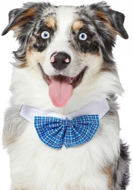 Frisco Plaid Dog & Cat Bow Tie, Orange & Blue + Blue 7 Frisco Plaid Dog & Cat Bow Tie, Orange & Blue + Blue - Image 5