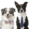 Frisco Plaid Dog & Cat Bow Tie, Orange & Blue + Polka Dot, Navy