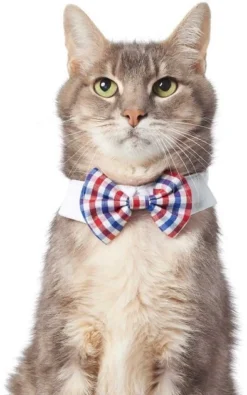 Frisco Plaid Dog & Cat Bow Tie, Red & Blue + Orange & Blue -FRISCO Sales 302786 PT2. SY630 V1623058048