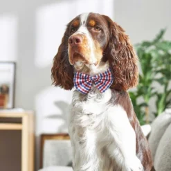 Frisco Plaid Dog & Cat Bow Tie, Red & Blue + Orange & Blue -FRISCO Sales 302786 PT4. SY630 V1623046640