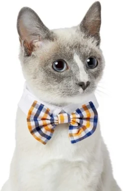 Frisco Plaid Dog & Cat Bow Tie, Red & Blue + Orange & Blue -FRISCO Sales 302786 PT5. SY630 V1623084151