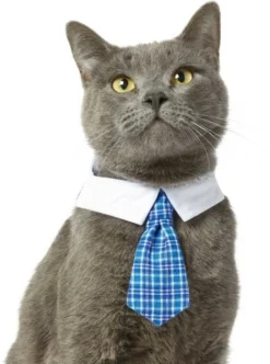 Frisco Plaid Dog & Cat Neck Tie, Blue Plaid + Polka Dot, Teal -FRISCO Sales 302794 PT2. SY630 V1623052055