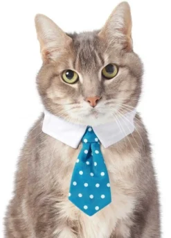 Frisco Plaid Dog & Cat Neck Tie, Blue Plaid + Polka Dot, Teal -FRISCO Sales 302794 PT5. SY630 V1623084751