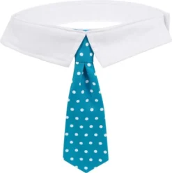 Frisco Plaid Dog & Cat Neck Tie, Blue Plaid + Polka Dot, Teal -FRISCO Sales 302794 PT6. SY630 V1623080240