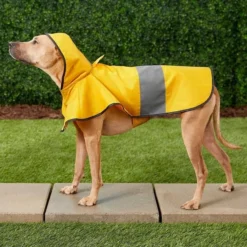 Frisco Rainy Days + Clear Vinyl Dog Raincoat -FRISCO Sales 302810 PT4. SY630 V1623090162