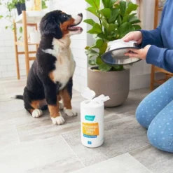 Catit||Frisco Catit Flower Plastic Fountain, 100-oz + Frisco Pet Toy & Bowl Cleaning Wipes -FRISCO Sales 303288 PT7. SY630 V1623047247