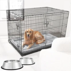 Frisco Fold & Carry Double Door Collapsible Wire Dog Crate & Mat Kit + Stainless Steel Bowl, 4.75-cup, 2 count