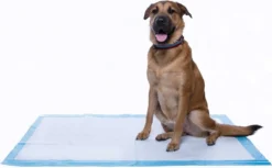 Frisco Fold & Carry Double Door Collapsible Wire Crate, 42 inch + Giant Dog Training & Potty Pads, 27.5 x 44-in, 30 count, Unscented -FRISCO Sales 303426 PT8. SY630 V1623080241