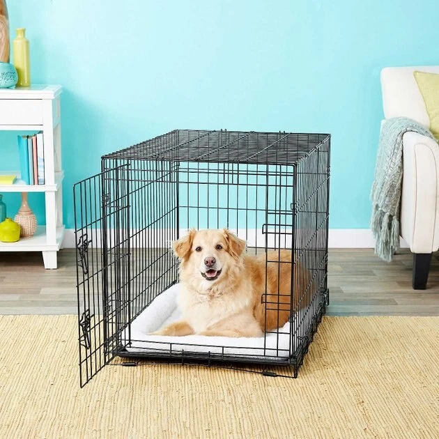 Frisco Fold & Carry Single Door Collapsible Wire Crate, 36 inch + Extra Large Printed Dog Training & Potty Pads, 28 x 34-in, 40 count, Unscented 7 Frisco Fold & Carry Single Door Collapsible Wire Crate, 36 inch + Extra Large Printed Dog Training & Potty Pads, 28 x 34-in, 40 count, Unscented - Image 5