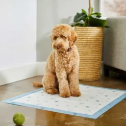 Frisco Fold & Carry Single Door Collapsible Wire Crate, 36 inch + Extra Large Printed Dog Training & Potty Pads, 28 x 34-in, 40 count, Unscented 19 Frisco Fold & Carry Single Door Collapsible Wire Crate, 36 inch + Extra Large Printed Dog Training & Potty Pads, 28 x 34-in, 40 count, Unscented -FRISCO Sales 303438 PT8. SY630 V1623051743