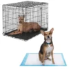 Frisco Heavy Duty Fold & Carry Double Door Collapsible Wire Crate & Mat Kit, + Extra Large Dog Training & Potty Pads, 28 x 34-in, 150 count, Unscented 1 Frisco Heavy Duty Fold & Carry Double Door Collapsible Wire Crate & Mat Kit, + Extra Large Dog Training & Potty Pads, 28 x 34-in, 150 count, Unscented -FRISCO Sales 303458 MAIN. SY630 V1623166359
