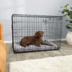 Frisco Heavy Duty Fold & Carry Double Door Collapsible Wire Crate & Mat Kit, + Extra Large Dog Training & Potty Pads, 28 x 34-in, 150 count, Unscented -FRISCO Sales 303458 PT4. SY630 V1623166976
