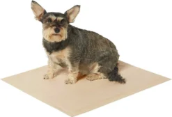 Frisco Refill Poop Bags, Scented, 120 count + Eco-Conscious Dog Training & Potty Pads, 22 x 23-in, 50 count, Unscented 16 Frisco Refill Poop Bags, Scented, 120 count + Eco-Conscious Dog Training & Potty Pads, 22 x 23-in, 50 count, Unscented -FRISCO Sales 303542 PT5. SY630 V1623042158