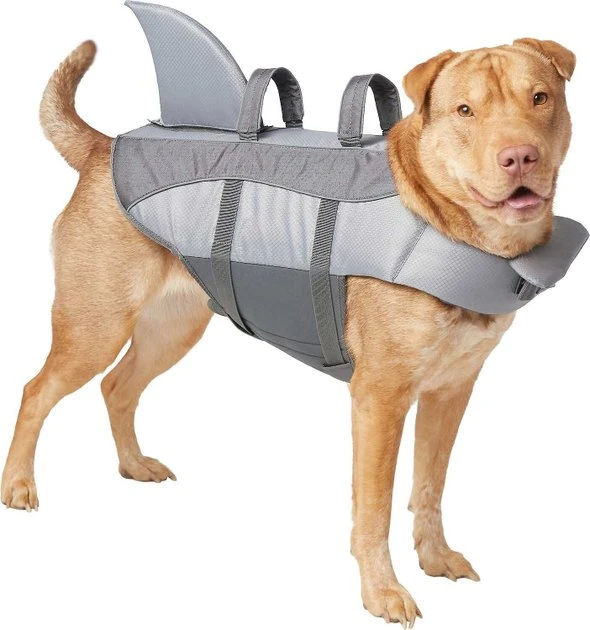 Frisco||KONG Frisco Shark Life Jacket + KONG Aqua Dog Toy, Large 4 Frisco||KONG Frisco Shark Life Jacket + KONG Aqua Dog Toy, Large - Image 2