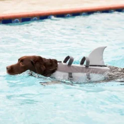 Frisco||KONG Frisco Shark Life Jacket + KONG Aqua Dog Toy, Medium 15 Frisco||KONG Frisco Shark Life Jacket + KONG Aqua Dog Toy, Medium -FRISCO Sales 303588 PT4. SY630 V1623060745