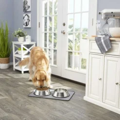 Frisco Stainless Steel Bowl, 4.75-cup, 2 count + Pet Toy & Bowl Cleaning Wipes 12 Frisco Stainless Steel Bowl, 4.75-cup, 2 count + Pet Toy & Bowl Cleaning Wipes -FRISCO Sales 303622 PT3. SY630 V1623085955