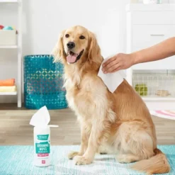 Mobile Dog Gear||Frisco Mobile Dog Gear Week Away Tote Travel Bag, Black, Medium/Large + Frisco Hypoallergenic Grooming Wipes with Aloe for Dogs & Cats, Unscented, 50 count 19 Mobile Dog Gear||Frisco Mobile Dog Gear Week Away Tote Travel Bag, Black, Medium/Large + Frisco Hypoallergenic Grooming Wipes with Aloe for Dogs & Cats, Unscented, 50 count -FRISCO Sales 303696 PT8. SY630 V1623055957