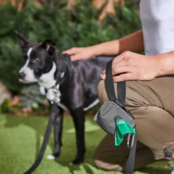 Ubbi||Frisco Ubbi On-The-Go Wipes Dispenser + Frisco Dog Poop Bags with Fabric Dispenser, 30 count, Gray -FRISCO Sales 303764 PT8. SY630 V1623057451