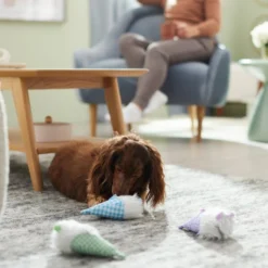 Frisco Easter Gnomes Plush Squeaky Dog Toy, 3 count -FRISCO Sales 304948 PT3. SY630 V1642441107