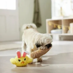Frisco Easter Chick in Nest 2-in-1 Plush Squeaky Dog Toy 7 Frisco Easter Chick in Nest 2-in-1 Plush Squeaky Dog Toy -FRISCO Sales 304962 PT3. SY630 V1642440902