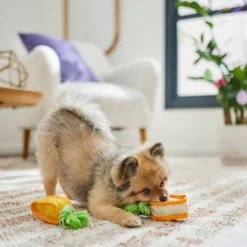 Frisco Easter Carrot Plush Squeaky Dog Toy, 2 pack -FRISCO Sales 306954 PT3. SY630 V1642441051