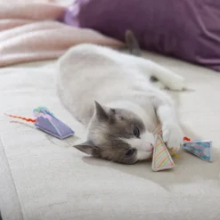 Frisco Easter Party Hat Kickers Cat Toy with Catnip, 3 count 7 Frisco Easter Party Hat Kickers Cat Toy with Catnip, 3 count -FRISCO Sales 306960 PT3. SY630 V1642440777