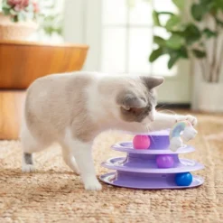 Frisco Unicorn & Rainbow Cat Tracks Cat Toy with Catnip -FRISCO Sales 308891 PT3. SY630 V1642688532