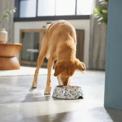 Frisco Terrazzo Design Stainless Steel Dog & Cat Bowl 12 Frisco Terrazzo Design Stainless Steel Dog & Cat Bowl -FRISCO Sales 311955 PT2. SY630 V1642535588