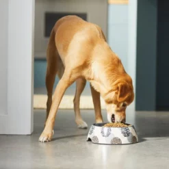 Frisco Animal Design Stainless Steel Dog & Cat Bowl -FRISCO Sales 311959 PT2. SY630 V1642542799