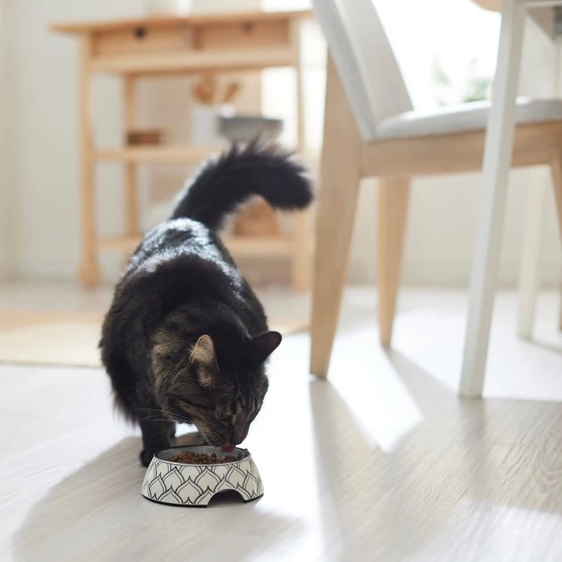 Frisco Moroccan Design Stainless Steel Dog & Cat Bowl 6 Frisco Moroccan Design Stainless Steel Dog & Cat Bowl - Image 4