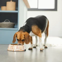 Frisco Copper Print Design Stainless Steel Dog & Cat Bowl -FRISCO Sales 311975 PT2. SY630 V1642542895