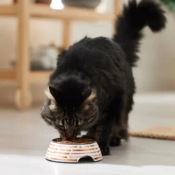 Frisco Copper Print Design Stainless Steel Dog & Cat Bowl -FRISCO Sales 311975 PT3. SY630 V1642542357