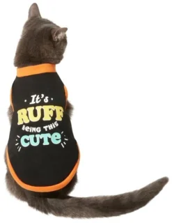 Frisco It's Ruff Being This Cute Dog & Cat T-Shirt -FRISCO Sales 312032 PT2. SY630 V1644476226