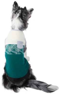Frisco Tropical Palm Dog & Cat T-Shirt