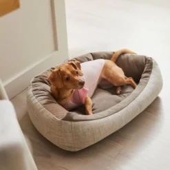 Frisco Mama's Girl Dog & Cat T-Shirt -FRISCO Sales 312096 PT8. SY630 V1644427093