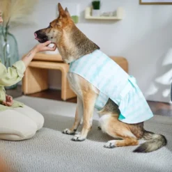 Frisco Green Tie Dye Dog & Cat Dress -FRISCO Sales 312104 PT8. SY630 V1644424641