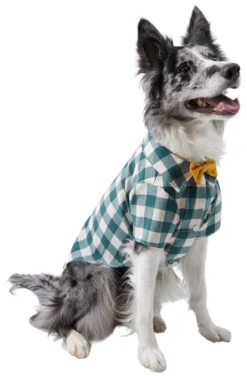Frisco Boho Plaid Dog & Cat Shirt