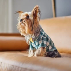 Frisco Boho Plaid Dog & Cat Shirt 17 Frisco Boho Plaid Dog & Cat Shirt -FRISCO Sales 312184 PT8. SY630 V1644524330