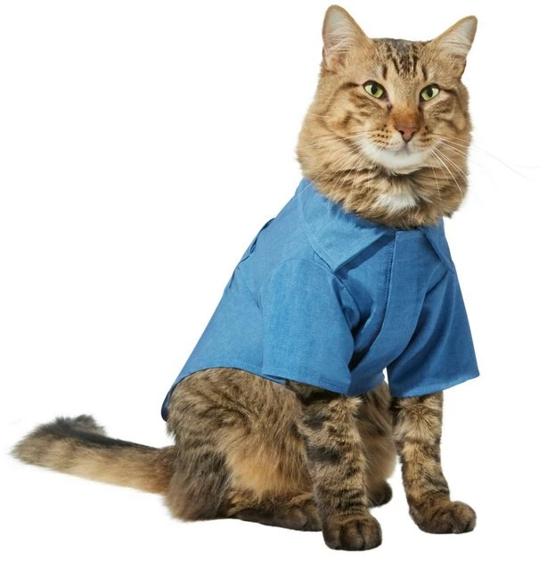 Frisco Chambray Pineapple Dog & Cat Shirt 5 Frisco Chambray Pineapple Dog & Cat Shirt - Image 3