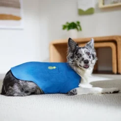 Frisco Chambray Pineapple Dog & Cat Shirt 19 Frisco Chambray Pineapple Dog & Cat Shirt -FRISCO Sales 312192 PT8. SY630 V1644526681