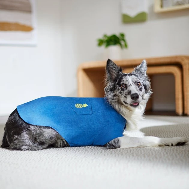 Frisco Chambray Pineapple Dog & Cat Shirt 11 Frisco Chambray Pineapple Dog & Cat Shirt - Image 9