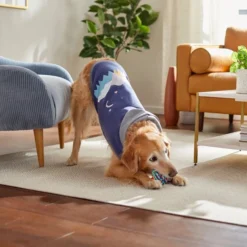 Frisco Starry Night Dog & Cat Hoodie -FRISCO Sales 312216 PT8. SY630 V1644882274