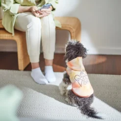 Frisco Good Vibes Dog & Cat Hoodie 15 Frisco Good Vibes Dog & Cat Hoodie -FRISCO Sales 312224 PT8. SY630 V1644880111