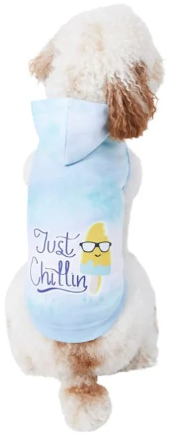 Frisco Just Chillin Dog & Cat Hoodie