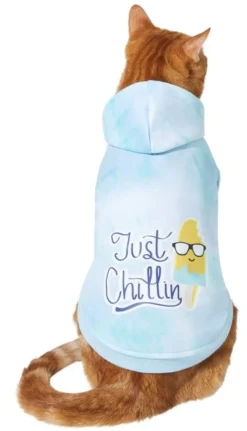 Frisco Just Chillin Dog & Cat Hoodie -FRISCO Sales 312232 PT2. SY630 V1644878862