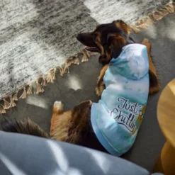 Frisco Just Chillin Dog & Cat Hoodie -FRISCO Sales 312232 PT8. SY630 V1644881824