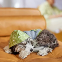 Frisco Green Southwest Dog & Cat Hoodie -FRISCO Sales 312248 PT8. SY630 V1644883113